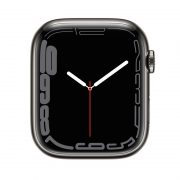 Watch Series 7 Steel Cellular (45mm), Graphite, Milanese Loop