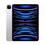 iPad Pro 11" Wi-Fi + Cellular M2 (4th Gen)