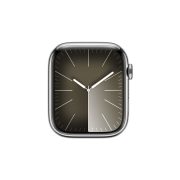 Watch Series 9 Steel Cellular