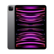 iPad Pro 11" Wi-Fi M2 (4th Gen) 1TB, 1TB, Space Gray